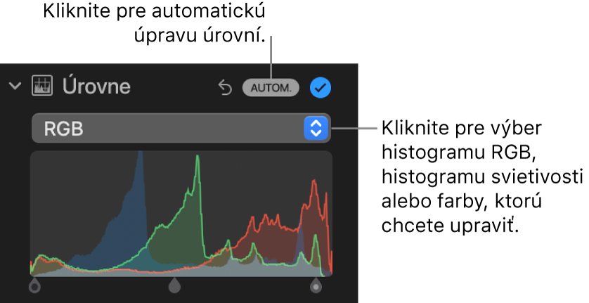 Ovládacie prvky Úrovne na paneli Úpravy s tlačidlom Auto vpravo hore a histogramom RGB nižšie.