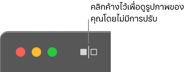 ปุ่มไม่มีการปรับซึ่งอยู่ถัดจากตัวควบคุมหน้าต่างที่มุมซ้ายบนสุดของหน้าต่าง