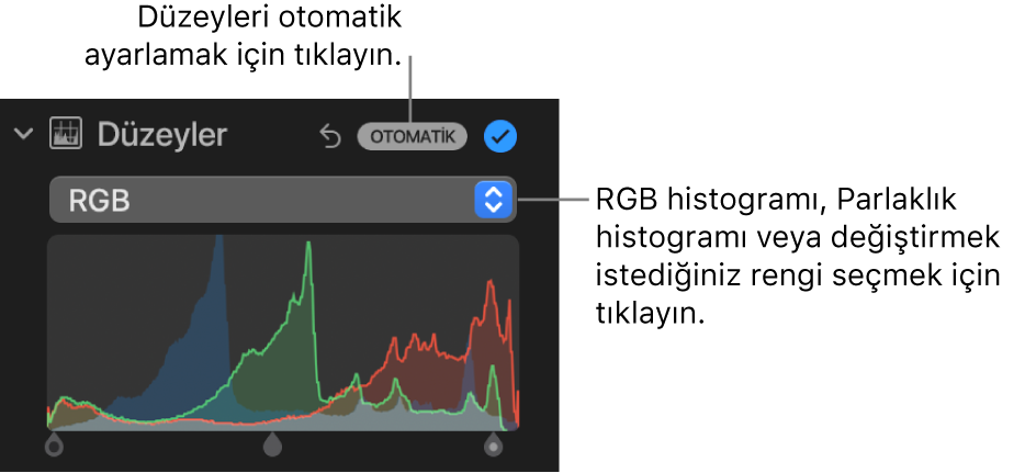 Sağ üstte Otomatik düğmesini ve altta RGB histogramını gösteren Ayarla bölümündeki Düzeyler denetimleri.