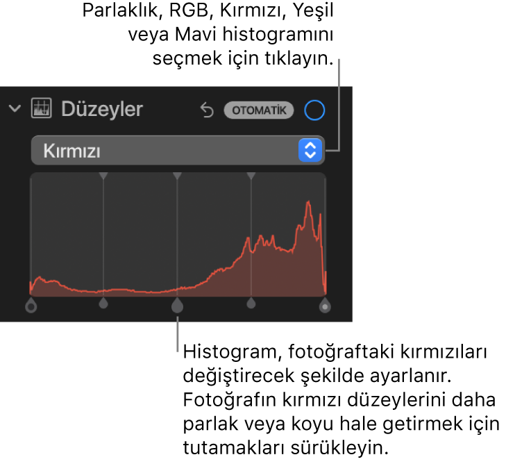 Altta fotoğrafın kırmızı düzeylerini ayarlamaya yönelik tutamaklarla Kırmızı histogramını gösteren Ayarla bölümündeki Düzeyler denetimleri.