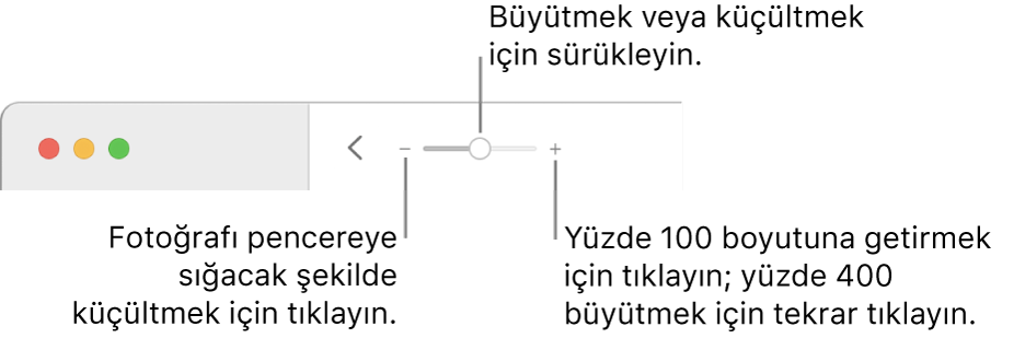 Büyütme denetimlerini gösteren araç çubuğu.