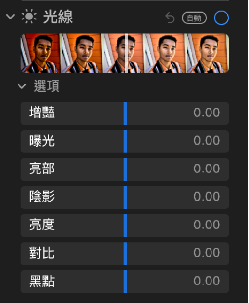 「調整」面板的「光線」區域顯示「增豔」、「曝光」、「亮部」、「陰影」、「亮度」、「對比」和「黑點」的滑桿。