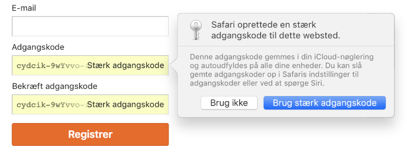 Kontotilmeldingssiden, der viser en automatisk oprettet adgangskode samt muligheden for at afvise at bruge det eller bruge det.