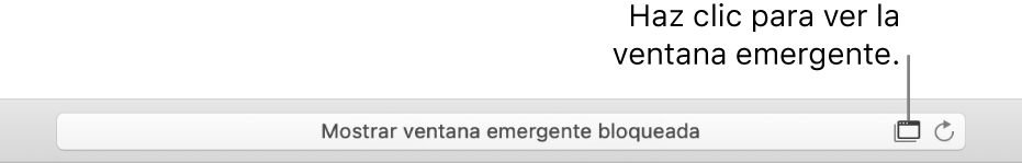 El campo de búsqueda inteligente mostrando un ícono a la derecha para permitir las ventanas emergentes.