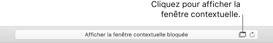 Le champ de recherche intelligente affichant une icône à droite pour autoriser les fenêtres contextuelles.