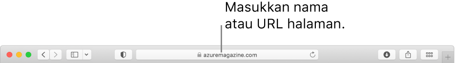 Medan Carian Pintar Safari, tempat anda boleh memasukkan nama halaman atau URL.