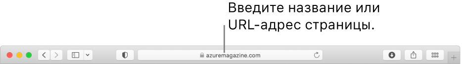 Поле смарт-поиска, расположенное по центру панели инструментов Safari.