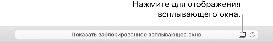 Поле смарт-поиска со значком для разрешения отображения всплывающих окон справа.