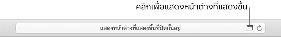 ช่องค้นหาอัจฉริยะแสดงไอคอนทางด้านขวาเพื่ออนุญาตหน้าต่างที่แสดงขึ้น