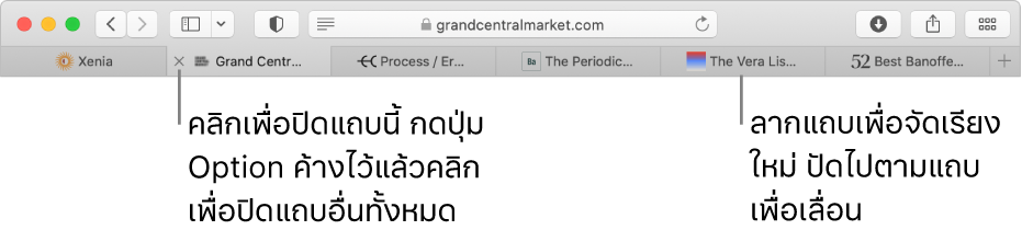 หน้าต่าง Safari ที่มีแถบต่างๆ