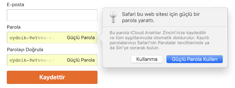 Otomatik olarak yaratılmış bir parolanın ve parolanın reddedilmesi veya kullanılması seçeneğinin gösterildiği hesap oturum açma sayfası.