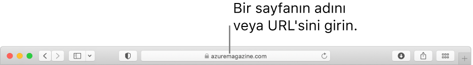 Sayfanın adını veya URL’sini girebileceğiniz Safari Akıllı Arama alanı.