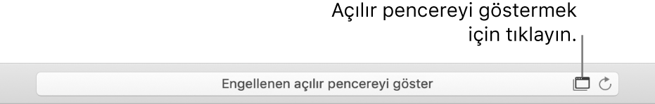 Açılır pencerelere izin vermek içn sağda bir simgenin gösterildiği Akıllı Arama alanı.