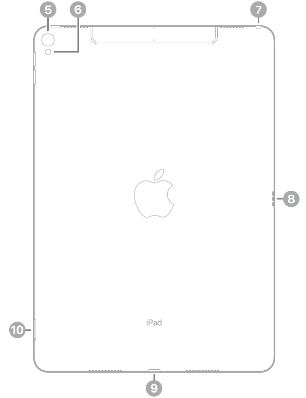 Baksidan på iPad Pro med linjer som pekar på den bakre kameran och blixten uppe till vänster, hörlursuttaget uppe till höger, Smart Connector-kontakten till höger, Lightning-kontakten längst ned i mitten och SIM-korthållaren (Wi-Fi + Cellular) längst ned till vänster.