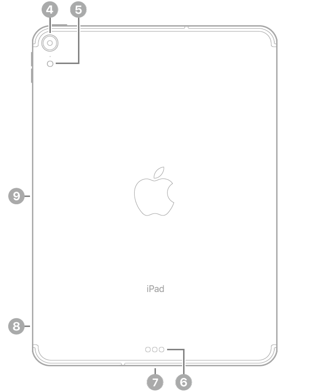 iPad Pro 背面的說明文字表示左上角的後置相機和閃光燈，底部中央有聰穎接點和 USB-C 連接器，左下角是 SIM 卡托盤（Wi-Fi + 行動網路），以及左側的 Apple Pencil 的磁鐵吸附處。