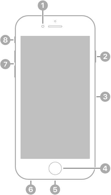 The front view of iPhone 6s. The front camera is at the top, to the left of the speaker. On the right side, from top to bottom, are the side button and the SIM tray. The Home button is at the bottom center. On the bottom edge, from right to left, are the Lightning connector and headphone jack. On the left side, from bottom to top, are the volume buttons and the ring/silent switch.