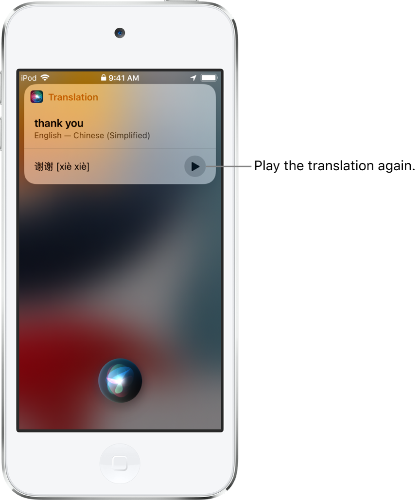 Siri displays a translation of the English phrase “thank you” into Mandarin. A button to the right of the translation replays audio of the translation.