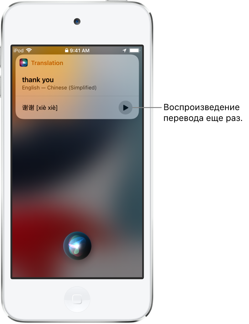 Siri отображает перевод английской фразы «спасибо» на французский. С помощью кнопки справа от перевода можно еще раз озвучить перевод.