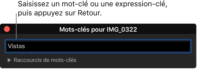 Saisie d’une expression-clé dans l’éditeur de mots-clés