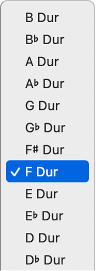 Abbildung. Einblendmenü „Tonart“ in der LCD