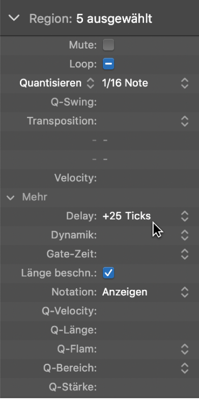 Abbildung. Parameter „Delay“ im Informationsfenster „Region“