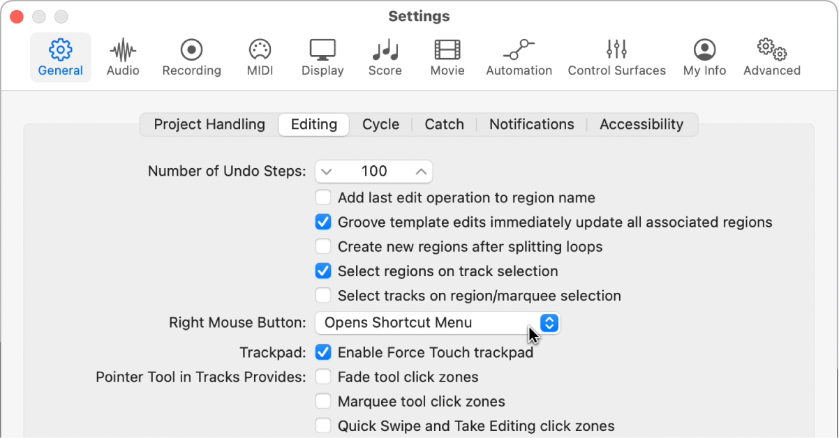 Figure. Pointer Tool checkboxes in the Editing pane in the General settings.