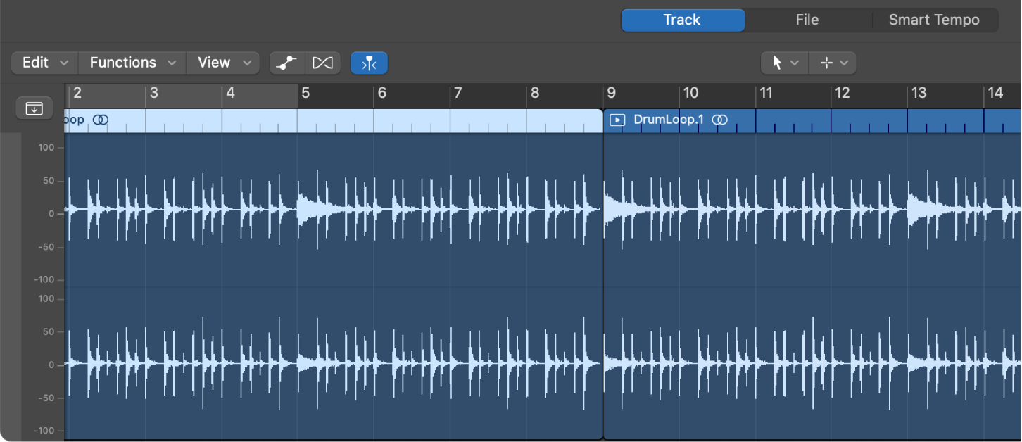 Figure. Audio Track Editor with region selected.