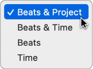 Figure. Selecting Beats & Project in the LCD to display project properties.