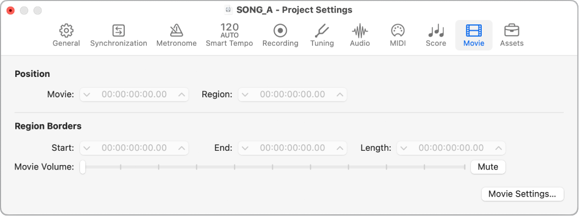 Figure. Movie project settings.