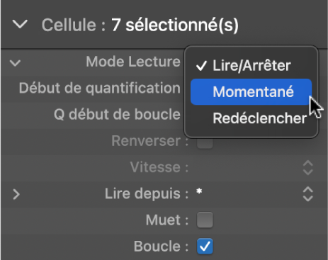 Figure. Réglage Mode Lecture dans l’inspecteur de cellule.