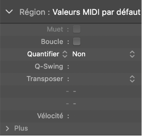 Figure. Paramètre Quantifier dans l’inspecteur de région.