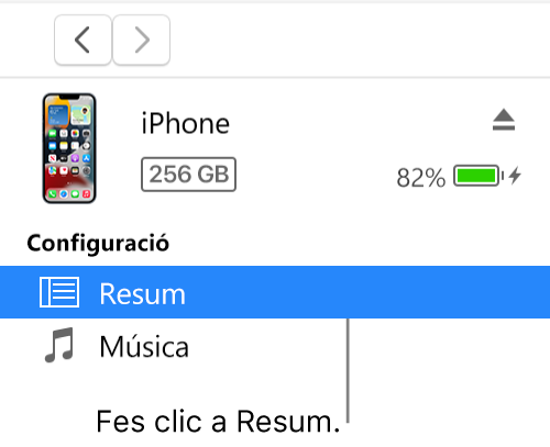 La finestra del dispositiu amb l’opció Resum seleccionada a la barra lateral de l’esquerra.