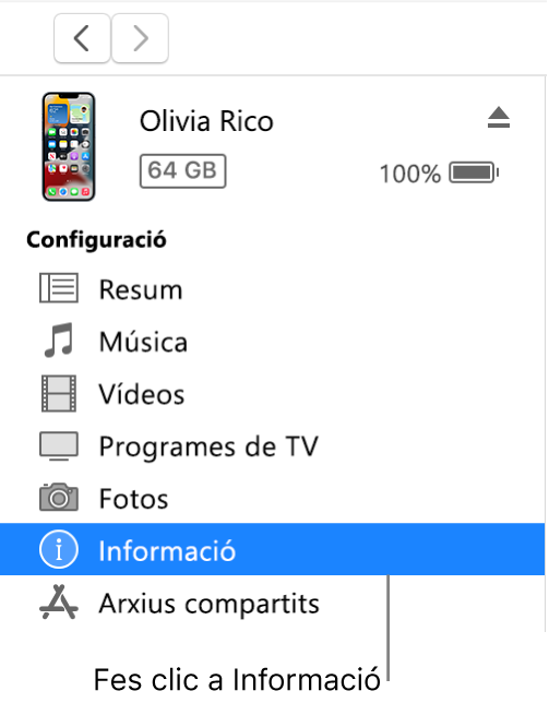La finestra del dispositiu amb l’opció Informació seleccionada a la barra lateral de l’esquerra.