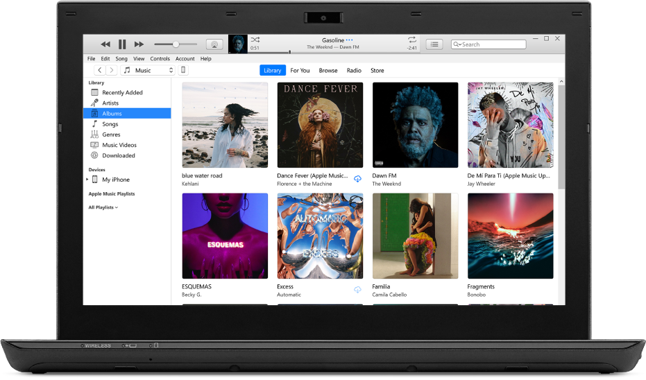 The iTunes window with a library of multiple albums.