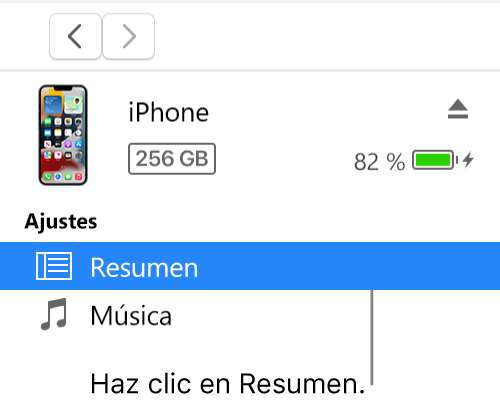 La ventana del dispositivo con la opción Resumen seleccionada en la barra lateral de la izquierda.