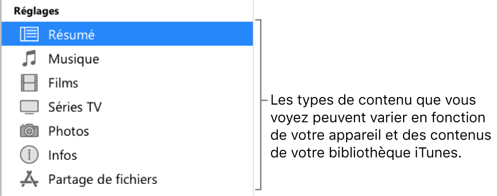 L’option Résumé est sélectionnée dans la barre latérale à gauche. Les types de contenu qui s’affichent peuvent varier en fonction de votre appareil et des contenus de votre bibliothèque iTunes.