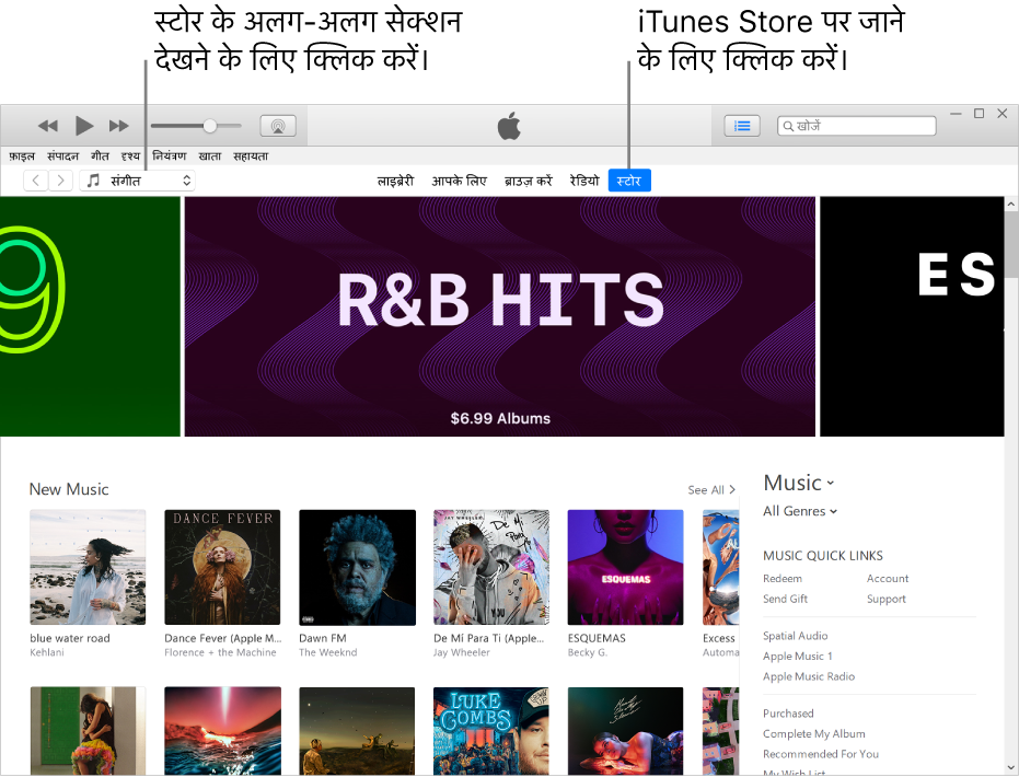 iTunes Store मुख्य विंडो: नैविगेशन बार में, Store हाईलाइट किया जाता है। शीर्ष-बाएँ कोने में Store के विभिन्न कॉन्टेंट (जैसे कि संगीत या टीवी) देखने का विकल्प चुनें।