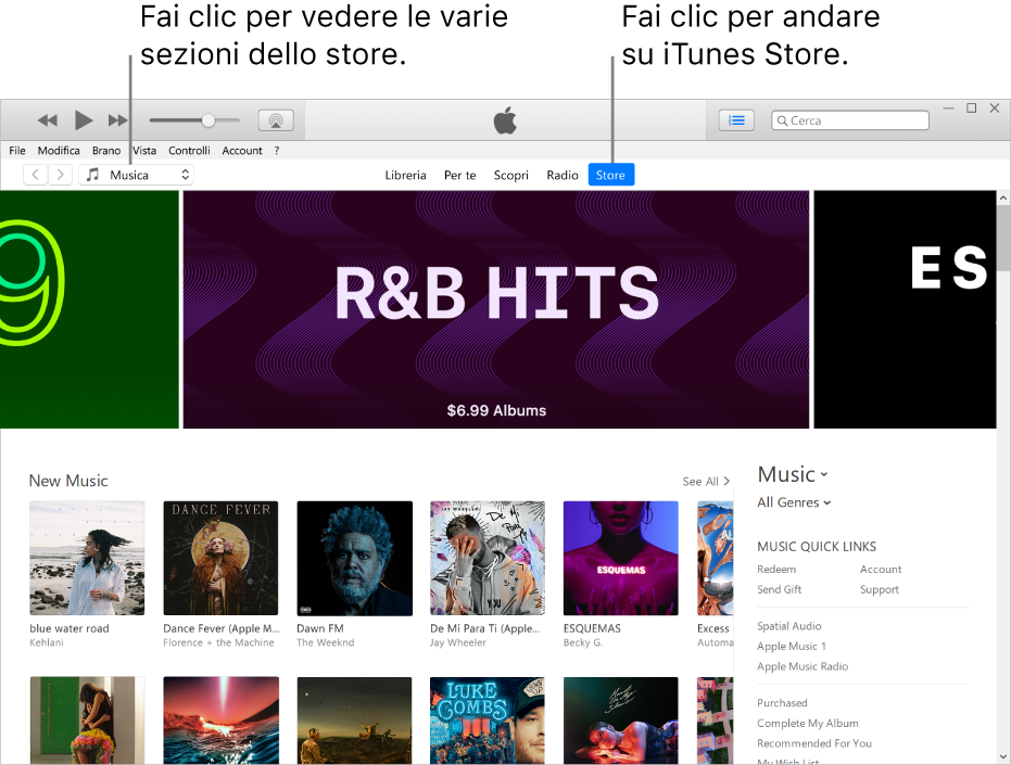 Finestra principale di iTunes Store: nella barra di navigazione, Store è evidenziato. Nell’angolo superiore sinistro, puoi scegliere di visualizzare contenuti diversi, ad esempio, musica o programmi TV.