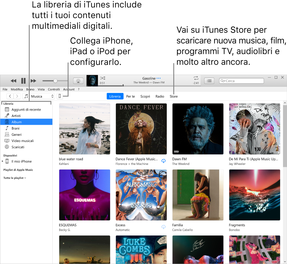 Vista della finestra di iTunes: la finestra di iTunes ha due pannelli. Sulla sinistra c’è la barra laterale Libreria che contiene tutti i file multimediali digitali. Sulla destra, nell’aria più ampia del contenuto, puoi visualizzare una selezione degli elementi che ti interessano. Ad esempio, puoi sfogliare la tua libreria o la pagina “Per te”, cercare nuova musica e nuovi video di iTunes oppure visitare iTunes Store per scaricare musica, film, programmi TV, audiolibri e altro ancora. Nella parte superiore destra della barra laterale Libreria c’è il pulsante del dispositivo che indica che iPhone, iPad o iPod sono collegati al PC.