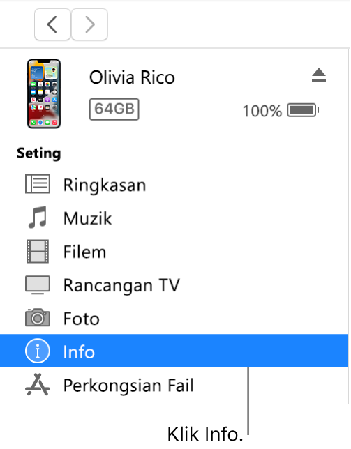 Tetingkap Peranti, dengan Info dipilih dalam bar sisi di bahagian kiri.