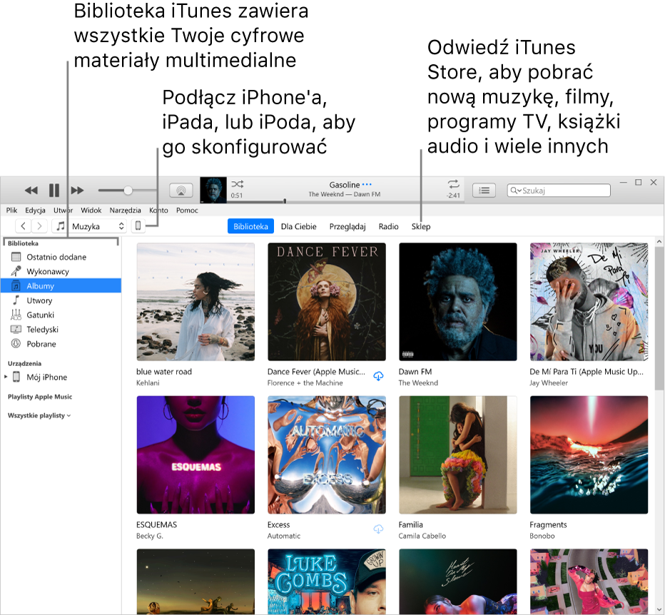 Widok okna iTunes: Widok okna iTunes. Po lewej stronie znajduje się pasek boczny biblioteki, który zawiera wszystkie Twoje cyfrowe multimedia. Po prawej stronie w obszarze zawartości możesz obejrzeć rzeczy, którymi się aktualnie interesujesz, na przykład możesz obejrzeć swoją bibliotekę lub stronę Dla Ciebie, przejrzeć nową muzykę i wideo w iTunes, lub odwiedzić iTunes Store i pobrać nową muzykę, filmy, programy TV, książki audio i inne rzeczy. Blisko prawego górnego rogu paska bocznego biblioteki znajduje się przycisk urządzenia, który wskazuje, że do komputera PC podłączony jest iPhone, iPad lub iPod.