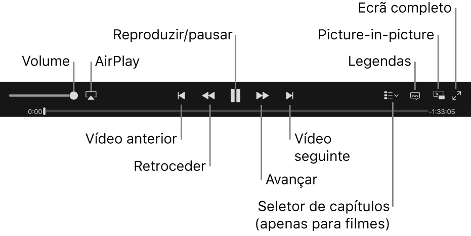 Controlos de vídeo: Volume, AirPlay, Vídeo anterior, Retroceder, Reprodução/Pausa, Avançar, Vídeo seguinte, Seletor de capítulos (só para filmes), Legendas, Picture in Picture e Ecrã completo