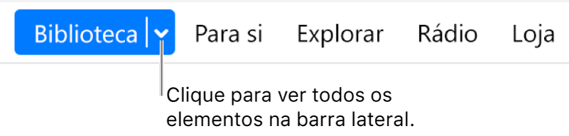 O botão Biblioteca da barra de navegação, a apresentar o menu pop-up; clique nele para aceder a todos os elementos da barra lateral quando a oculta.