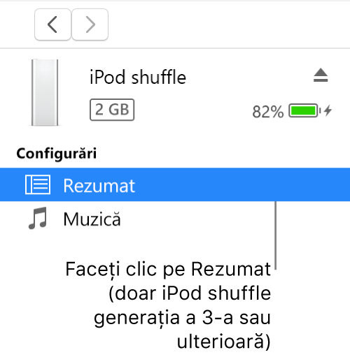 Fereastra Dispozitiv, cu secțiunea Rezumat selectată în bara laterală din stânga.