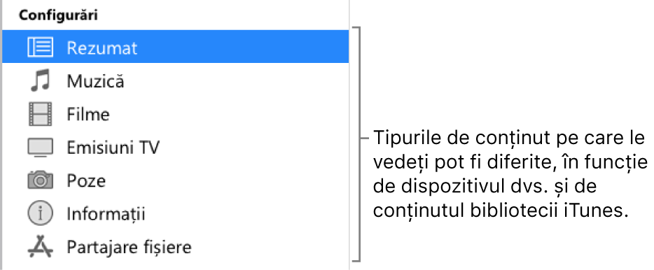 Secțiunea Rezumat este selectată în bara laterală din stânga. Tipurile de conținut care apar pot varia în funcție de dispozitivul dvs. și de conținutul bibliotecii dvs. iTunes.