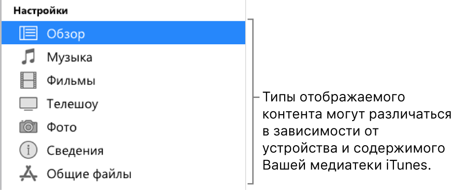 Вкладка «Обзор» выбрана в боковом меню слева. Типы отображаемого контента могут различаться в зависимости от устройства и содержимого Вашей медиатеки iTunes.