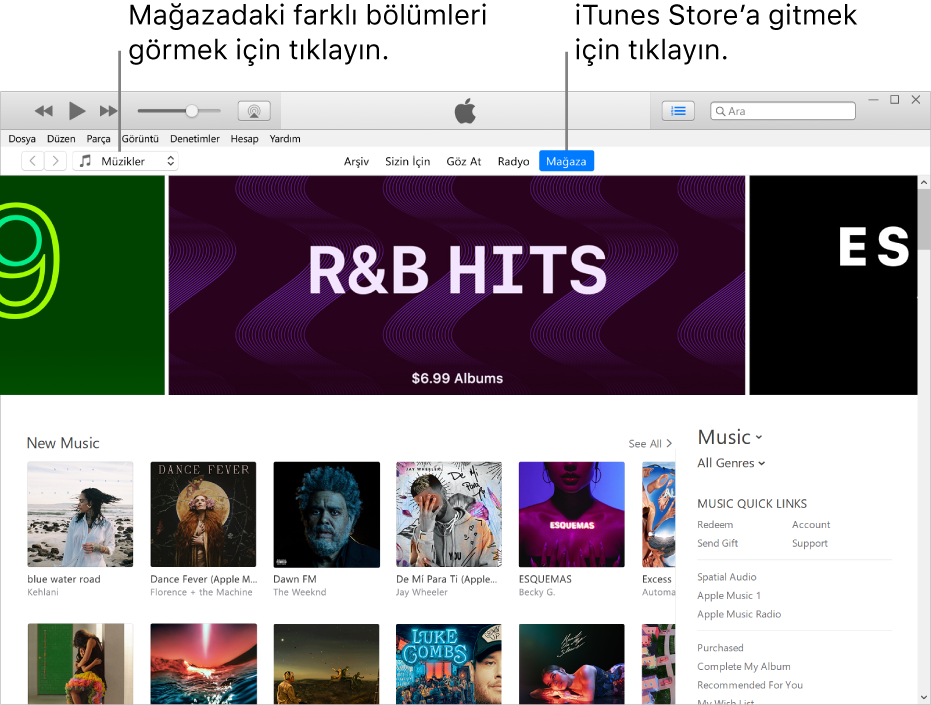 iTunes Store ana penceresi: Gezinme çubuğunda Store vurgulanır. Sol üst köşede Store’da görüntülenmesini istediğiniz farklı içerikleri (Müzik veya TV gibi) görüntülemeyi seçin.