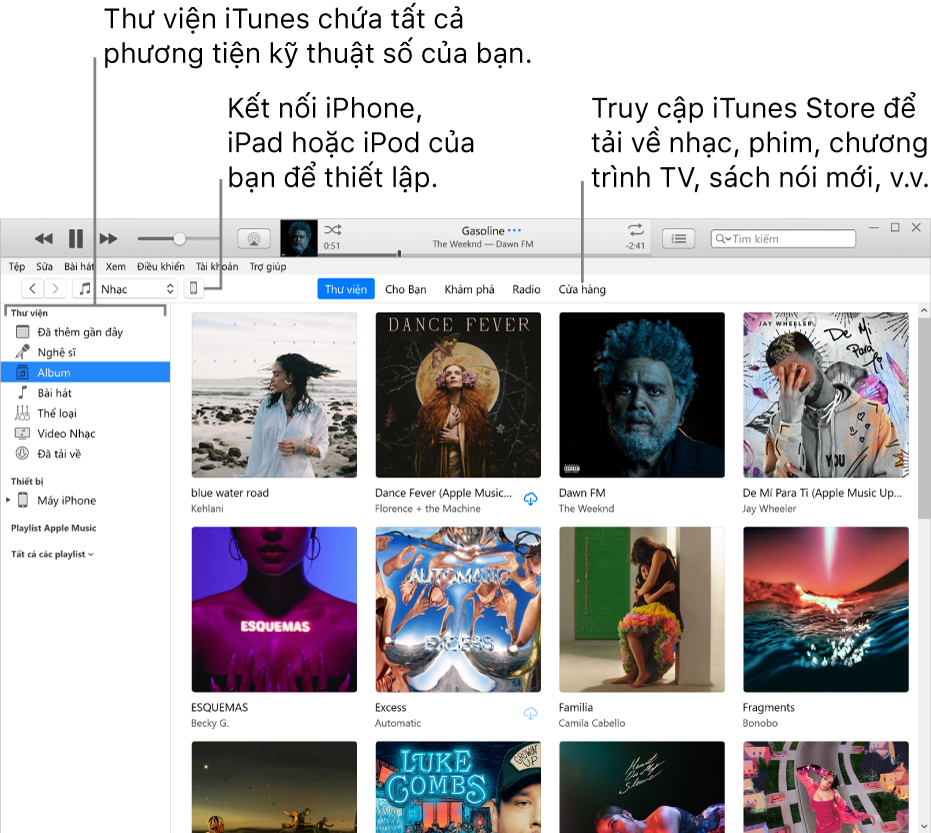 Giao diện của cửa sổ iTunes: Cửa sổ iTunes có hai khung. Ở bên trái là thanh bên Thư viện, chứa tất cả phương tiện kỹ thuật số của bạn. Ở bên phải, trong vùng nội dung lớn hơn, bạn có thể xem lựa chọn mà bạn quan tâm – ví dụ: truy cập thư viện hoặc trang Cho bạn, khám phá nhạc và video mới trên iTunes hoặc truy cập iTunes Store để tải về nhạc, phim, chương trình TV, sách nói, v.v. Ở phía trên bên phải của thanh bên Thư viện là nút Thiết bị, cho biết rằng iPhone, iPad hoặc iPod được kết nối với PC của bạn.