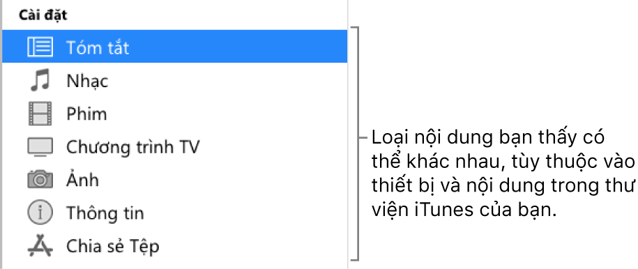 Tóm tắt được chọn trong thanh bên phía bên trái. Loại nội dung xuất hiện có thể thay đổi, tùy thuộc vào thiết bị và nội dung của thư viện iTunes của bạn.
