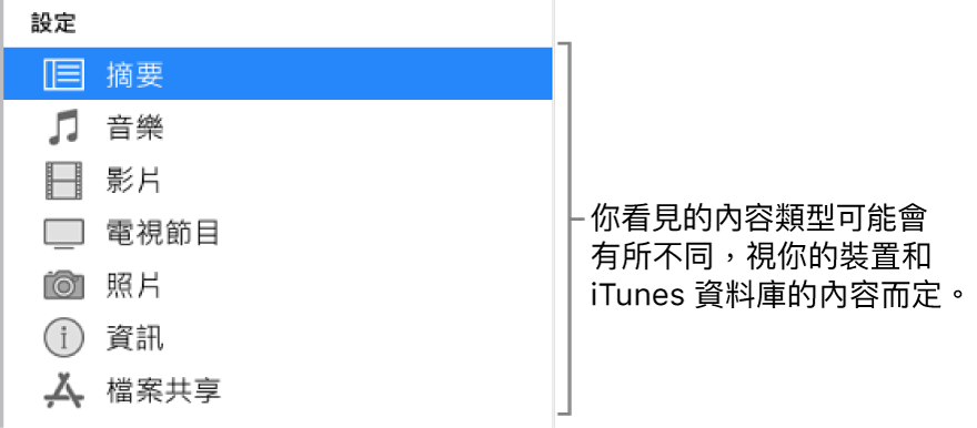 在左側側邊欄選取的摘要。顯示的內容類型可能有所不同，視你的裝置和 iTunes 資料庫中的內容而定。